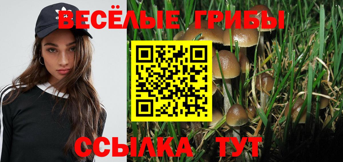 Псилоцибиновые грибы прущие грибы  Вход с VPN  Астрахань 